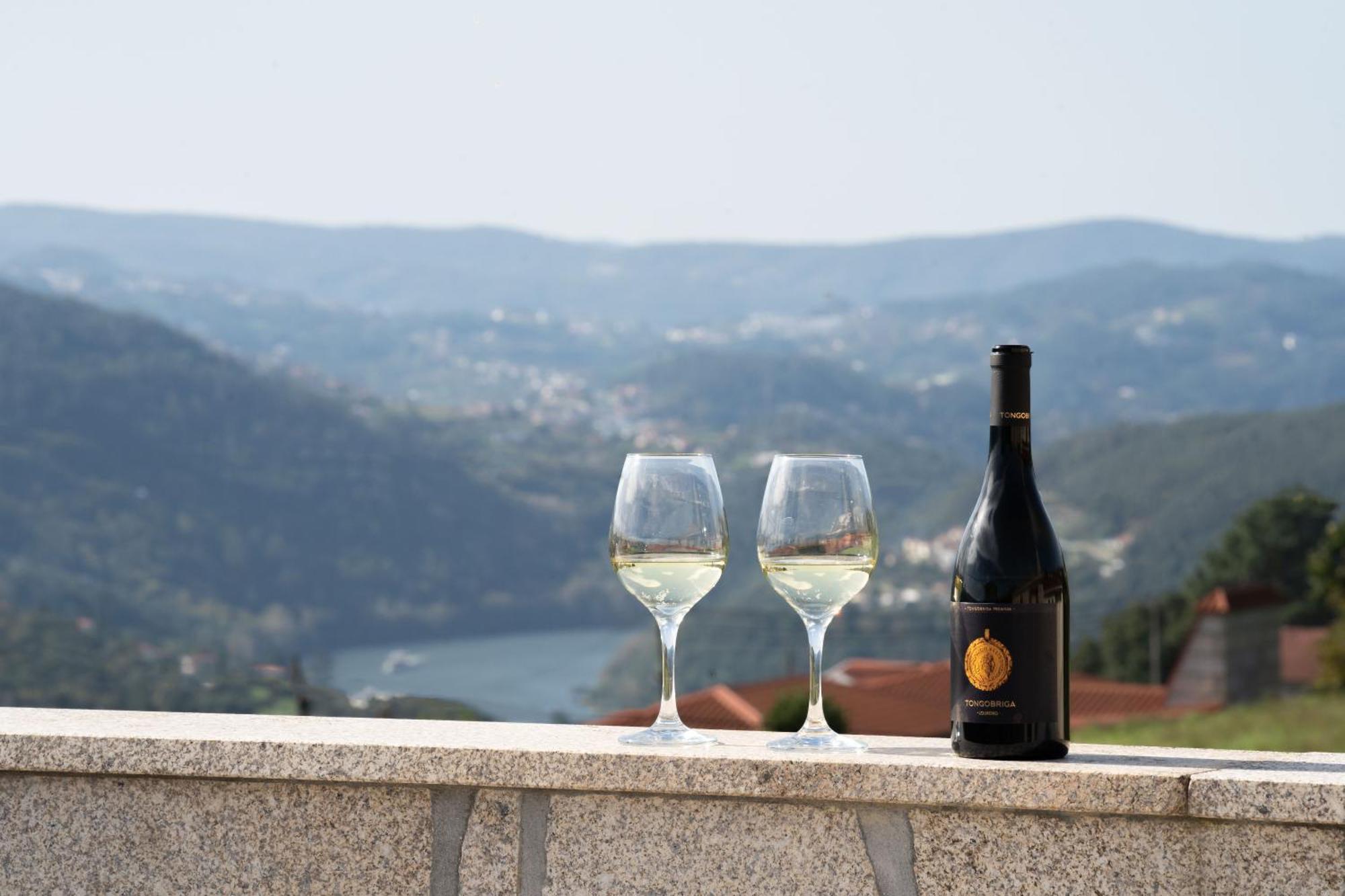 Casa Do Casal Do Douro Villa Marco de Canavezes Екстериор снимка
